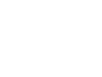 MOVE-IN/MOVE-OUT CLEANING • Includes deep cleaning plus… Clean inside cabinets and drawers Clean entire stove and oven (pull out) Clean dishwasher inside/outside Clean all closets/pantry (inside/outside) 