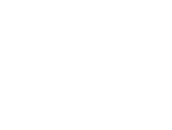 MOVE-IN/MOVE-OUT CLEANING • Includes deep cleaning plus… Clean all light fixtures, switches, outlets Clean all closets (inside/outside) Clean windowsills, shutters/blinds, tracks, and screens 